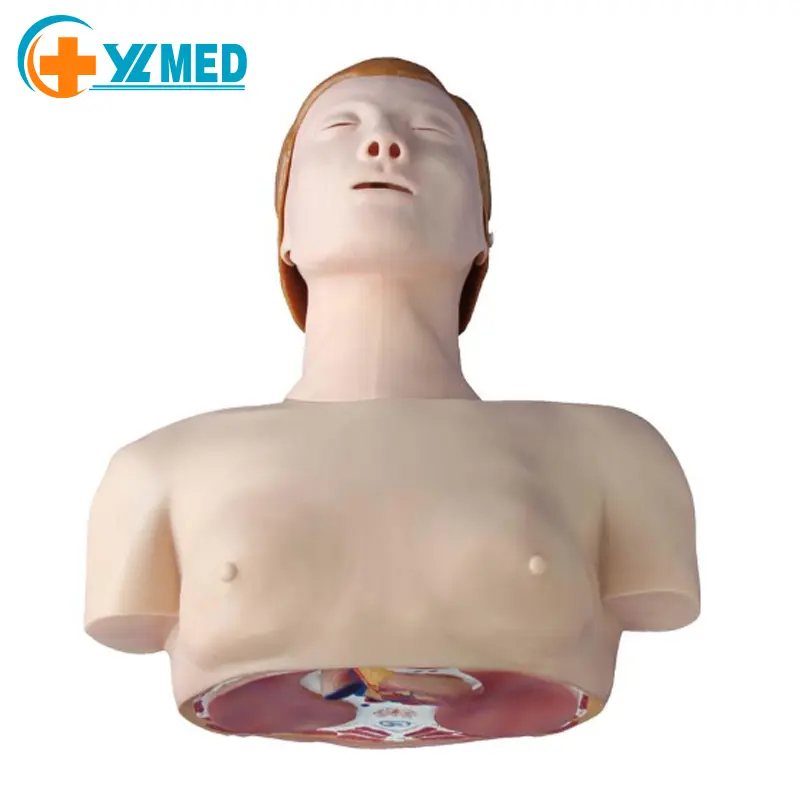 Yarım vücut CPR eğitim gelişmiş kardiyopulmoner resüsitasyon simülatörü İnsan tıbbi CPR Model beyin