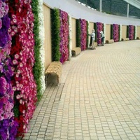 Jardin vertical carré pour plantes artificielles et réelles, mur végétal extérieur, système de pot de fleurs en plastique PP durable noir