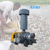 ARUS HDLH série ventilateur de racines pompe à vide sans huile pompe à vide mécanique ventilateur racines huile Diffusion Booster