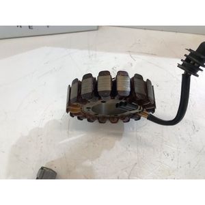 Viti e bulloni per l'assemblaggio del motore della Triumph Tiger Explorer 1215 2012-2015 - Product Image 4