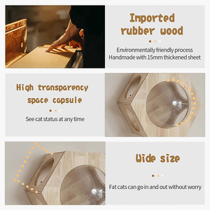 Rắn Tùy Chỉnh Cao Su Gỗ Gỗ Mèo Mèo Võng Tường Đồ Nội Thất Cho Leo Núi Gỗ Thật Kệ Tường Đóng Gói Trong Thùng Carton - Product Image 3
