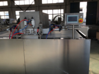 Machines à fabriquer des pépites de chocolat Ligne de production de dépose de chocolat