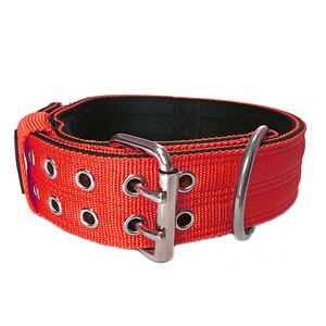 Hot Selling 2 Zoll strap azier fähiges Nylon gewebe Double Pin Buckle Hunde halsband mit Griff und weichem Neopren gepolstertem Futter - Product Image 1