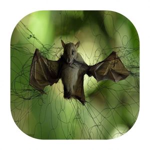 Red de faisán de 0,08mm, malla de nailon de niebla, red de captura de pájaros de 18X18mm - Product Image 4