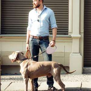 Tali anjing dapat ditarik otomatis, tali latihan Jalan hewan peliharaan untuk anjing kecil, menengah, sabuk tali leher pencegahan hilang, perlengkapan hewan peliharaan - Product Image 6