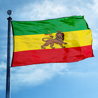 Drapeau personnalisé Rasta Lion en polyester, bannière extérieure verte, jaune, rouge, style éthiopien, drapeau mural avec œillets en laiton