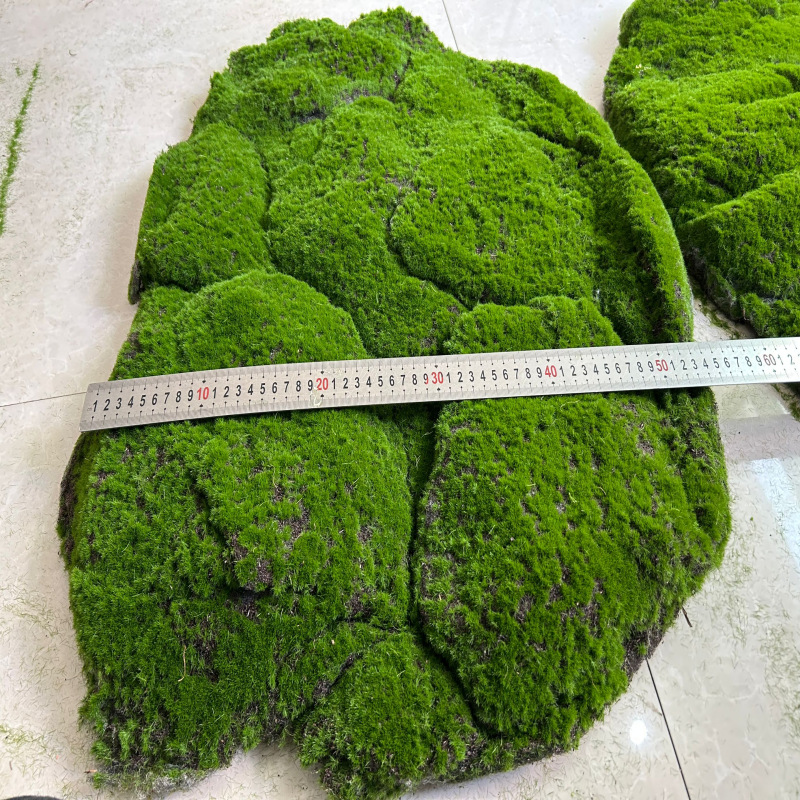 Vert-75cm