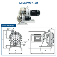 Bomba de Vacío de Desplazamiento Bilateral sin Aceite WXG-4B 4L/S, Libre de Mantenimiento, para Sistemas de Envasado de Alimentos