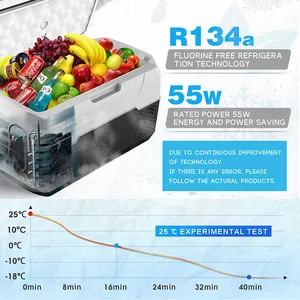 WAYCOOL AXR20 20L การปรับแต่งโลโก้โซนเดียว 12V คอมเพรสเซอร์รถตู้เย็นตู้เย็นไฟฟ้ารถ