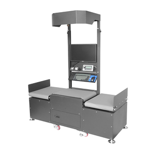 Dwsシステム付きジグザグコンベヤーEコマースロジスティクスパーセルソーティングステーション仕分け機 - Product Image 1