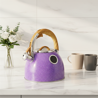Bouilloire sifflante en acier inoxydable 3L personnalisée, compatible induction, design minimaliste écologique, pour la maison, les voyages et le camping