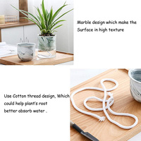 Pot de fleurs mi hydroponiques, serre-terre d'intérieur et absorbable, coloré en céramique, pour décor de salle de bains, vente en gros, offre spéciale