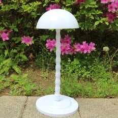 Soporte de exhibición de bruja blanca para adornos de jardín - Product Image 1