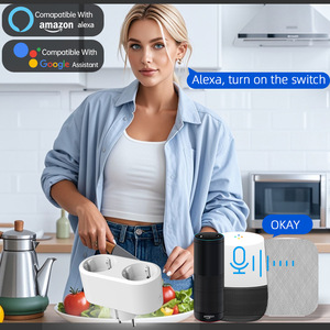 Tuya WiFi akıllı tak avrupa ölçer çift kafa bir dönüş iki zamanlama geri sayım Alexa ses uzaktan kumanda Android işletilen ab - Product Image 2