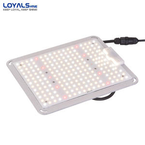 Panneau de culture à <span class=keywords><strong>LED</strong></span> pour plantes d'intérieur, <span class=keywords><strong>lampe</strong></span> de <span class=keywords><strong>croissance</strong></span>, panneau lumineux pour graines, légumes <span class=keywords><strong>et</strong></span> fleurs - Product Image 3