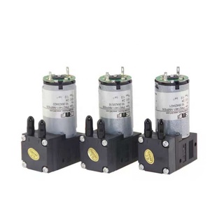 Pompe à air <span class=keywords><strong>KNF</strong></span> NMP830 d'origine allemande, pompe à encre pour imprimante à jet d'encre à plat UV 24v - Product Image 4