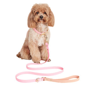 맞춤형 애완견 가죽 끈 PVC 마카롱 컬러 개 목걸이 및 가죽 끈 세트, 방수, 먼지 방지, 내구성, 조정 가능한 개 체인 - Product Image 6