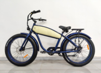 26 Inch Electric Bike Sidecar 48V500w Hub Motor Fat Tire Mountain Ebike City Road Bicycle