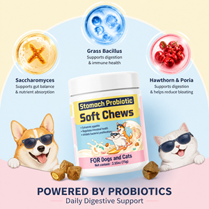 Integratore Premium per la Salute Intestinale di Cani e Gatti - Probiotici con Lieviti e Bacillus - Flora Intestinale Bilanciata - Etichetta Privata, Vendita all'Ingrosso - Product Image 5