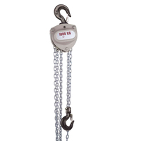 250kg 500kg 1000kg 1500kg 2000kg 3 tonnes 5 tonnes 7.5 tonnes 10 tonnes 15 tonnes 20 tonnes palan à chaîne à main grue manuelle bloc de chaîne
