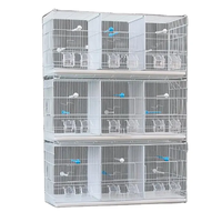 Fournitures de cage à oiseaux grande cage à oiseaux 1821 # transporteur d'élevage Myna filaire séparé pour perroquet et oiseaux de compagnie