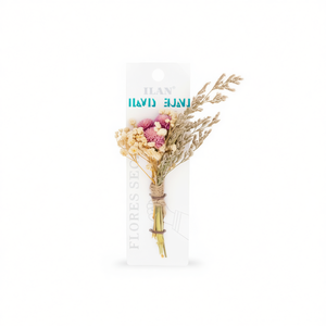 Fleurs séchées ILAN, bouquet décoratif d'environ 15 cm - Product Image 1