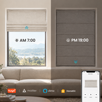 Stores romains de qualité supérieure avec commande Wi-Fi via application, compatibles Google Alexa, motorisés, style uni, stores électriques intégrés