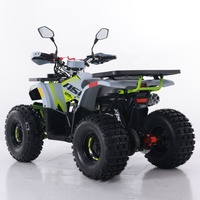 Tao Motor 2024 nouveau ATV 125 pas cher chinois automatique chaîne entraînement ferme ATV 125cc ATV