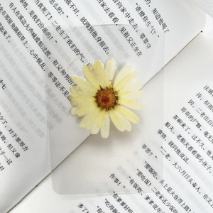 Marcapáginas de flores secas selladas de plástico, marcador de espécimen botánico, hoja plástica <span class=keywords><strong>Real</strong></span>, marcador de libros plastificado, palo de disparo - Product Image 5