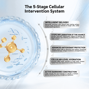 Seis Sets por Caja, Esencia Liofilizada ExoAion para Piel Sensible/Enrojecida/<span class=keywords><strong>Bienestar</strong></span>, para Uso en Salones de Belleza - Product Image 2