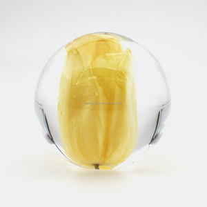 Bola redonda, planta botánica colorida, flor prensada seca, epoxi, flor prensada Real, flor de resina, bola de cristal, artesanías - Product Image 3