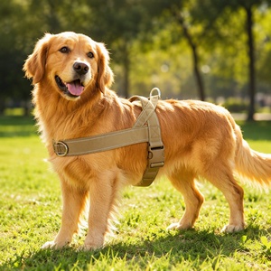 Arnés Antitirones para Perro, Estilo Táctico, de Nailon con Anillo en D Frontal para Perros Grandes y Medianos, Modelo S-7072 - Product Image 3