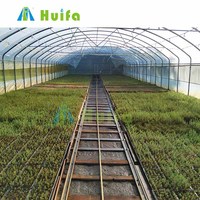 Petite serre hydroponique à tunnel simple, film PE anti-goutte, cadre en acier galvanisé à chaud pour la protection des légumes