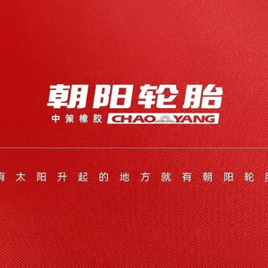 MARQUE CHAOYANG Marque de pneus n ° 1 en Chine, axée sur la rentabilité 12.00R20-20PR XZ75 - Product Image 1