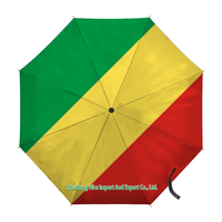 Parapluie pliant avec drapeau du Congo démocratique, ouverture et fermeture automatiques, parapluie compact portable, grand format pour la protection contre la pluie, résistant au vent