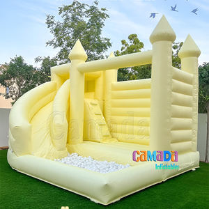 Pastel menta verde castillo hinchable tobogán comercial Combo Casa de rebote inflable con tobogán y pozo de bolas - Product Image 5