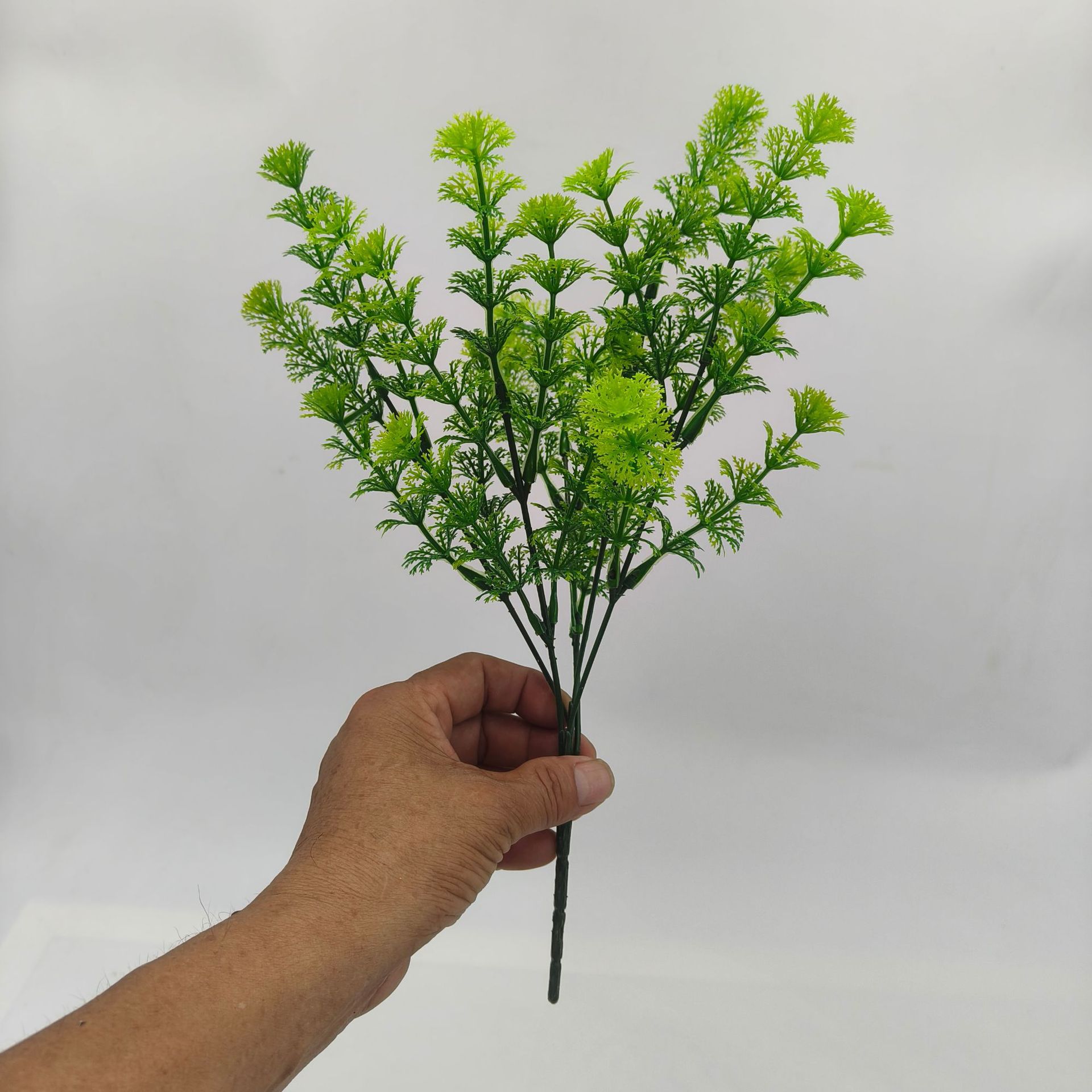 เขียวเข้ม