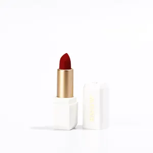 Applicatore di rossetto usa e getta, rossetto liquido opaco vegano etichetta privata rossetti in velluto opaco impermeabile a lunga durata