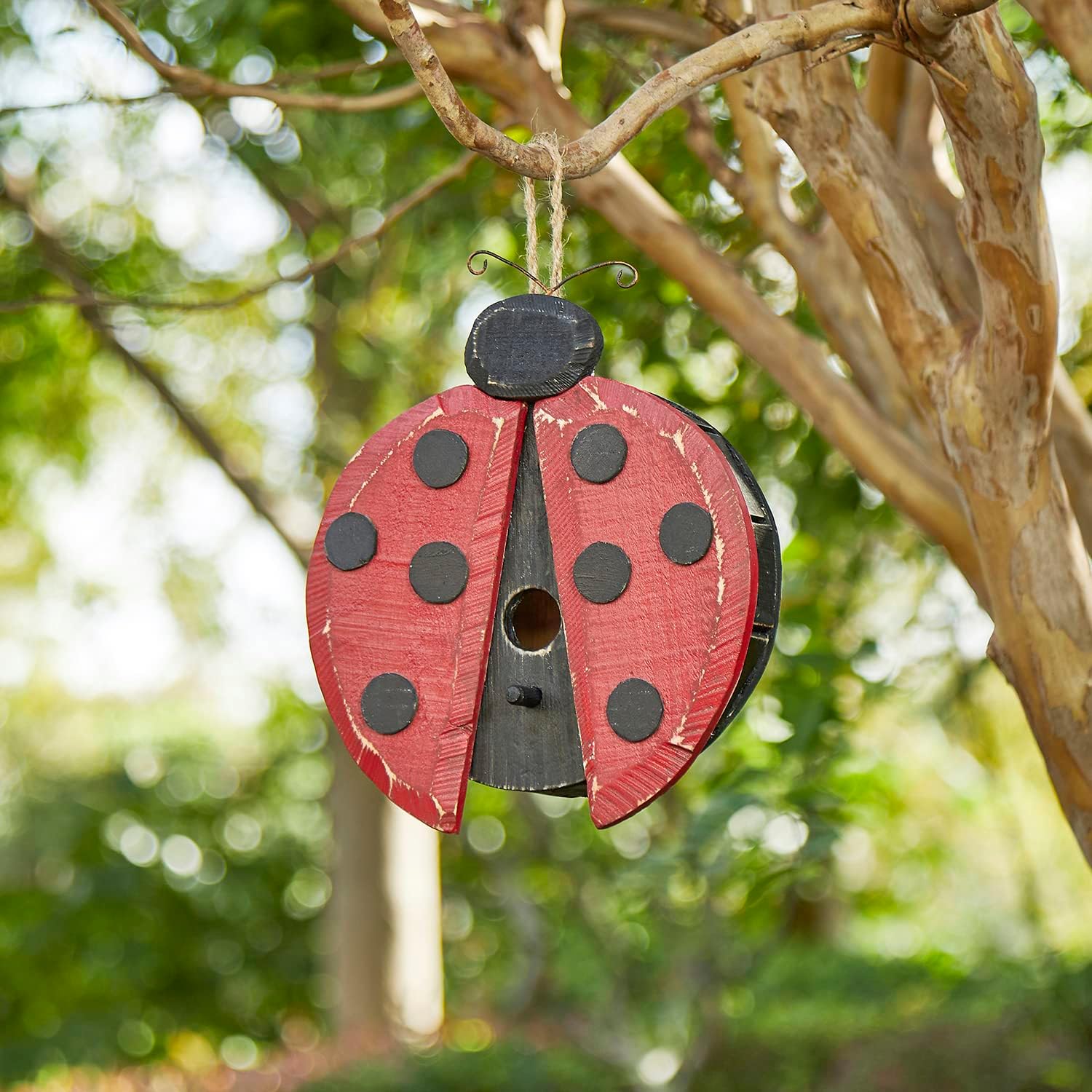 MisFun 200 Pièces Coccinelles En Bois Autocollantes | Mini Décorations 8-13mm | Pour Scrapbooking, Bricolage, Décoration