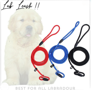 Correa de nailon para perros, correa de entrenamiento, correa ajustable con collar de tracción - Product Image 2