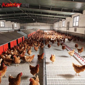 Nido para Huevos de Gallina Grande Kaleter, Gran Venta, Precio de Fábrica - Product Image 6