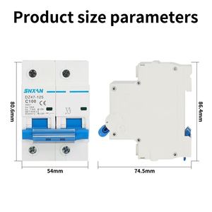DZ47-125 100A 2P 63A 230V AC 50Hz/60Hz artık akım devre kesici aşırı akım ve kaçak koruma ile RCBO kesim L N - Product Image 3