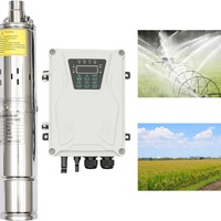 Pompe Immergée Solaire de Puits Profond à Haute Pression pour Irrigation, 2 Pouces