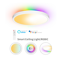 Plafonnier LED intelligent Wifi 5 canaux ultra fin moderne pour salon, RGBIC 2700 lumens, contrôle par application, éclairage d'ambiance