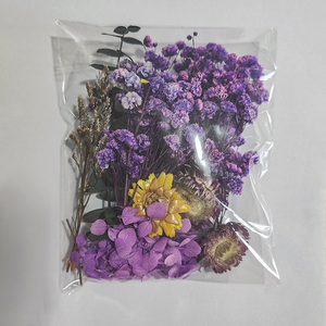 Décoration <span class=keywords><strong>Fleurs</strong></span> Séchées en Gros <span class=keywords><strong>Fleurs</strong></span> Naturelles Séchées Plantes Séchées pour Artisanat Fabrication de Bougies Art de la Résine Photographie - Product Image 4