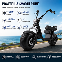 Trottinette Électrique Style 60V 1500W Moteur Brushless Batterie Lithium 12Ah Capteur Charge 200kg Pneu Large Deux Roues pour Adultes