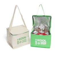 Sac isotherme pour poisson, sac isotherme pour bouteille, sac de plage avec compartiment réfrigérant – Vente directe usine