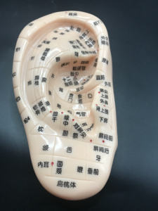 Enseñanza médica acupuntura oreja modelo imagen PVC Material inteligente estimulante manipulación enseñanza acupuntura herramienta - Product Image 6