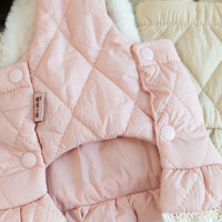 Manteau épais et chaud d'hiver pour animaux de compagnie, robes pour chiens, manteaux-jupes pour chats