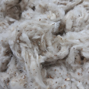 Venta al por mayor 100% algodón Residuos Peine Noil/Card Fly/Lickerin A & B de Vietnam Mejor Precio - Product Image 1